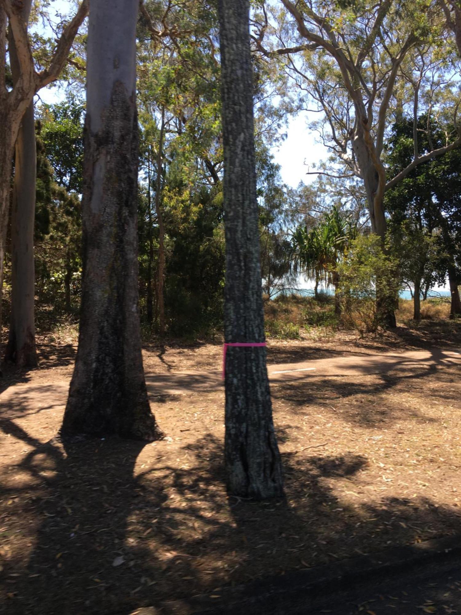 The Bay Beach Shack, Hervey Bay Esterno foto